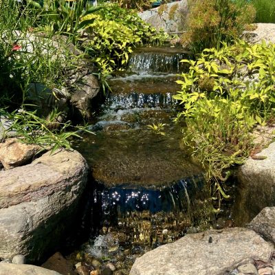 Waterfall & Water Garden Design Services in New Jersey at That Pond Place