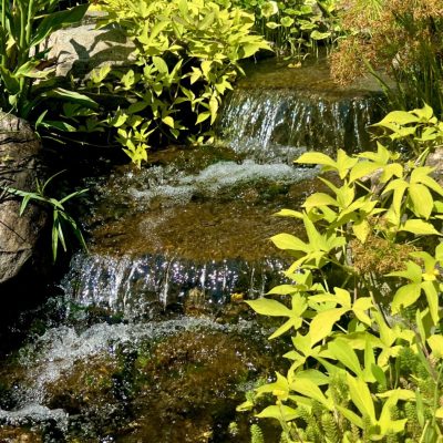 That Pond Place Waterfall & Water Garden Design Services in New Jersey