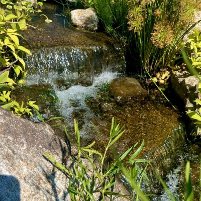 Small waterfall flows over rocks surrounded by green plants in a sunlit garden setting.